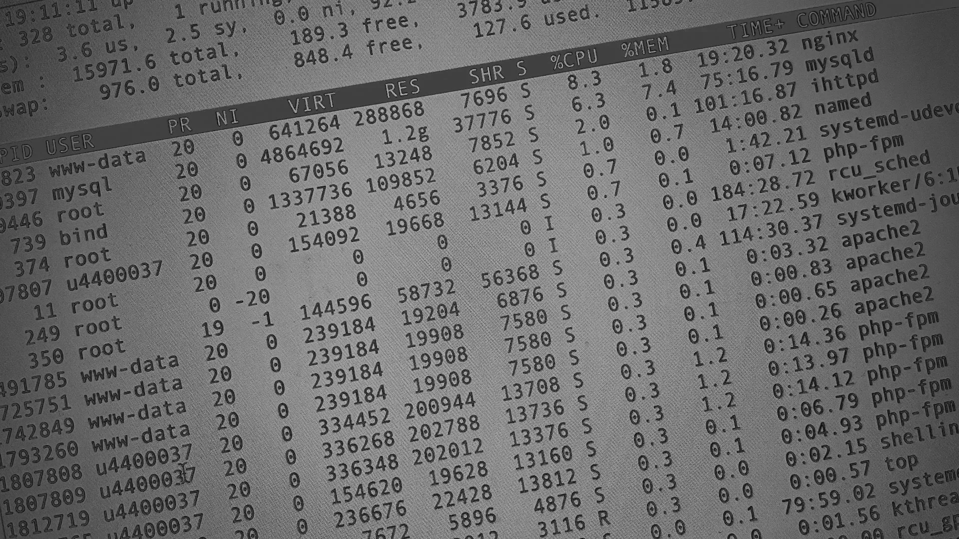 Настройка сервера в Анапе