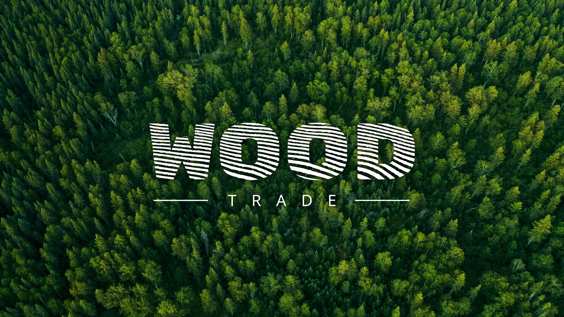 Разработка интернет-магазина компании «Wood Trade» в Анапе