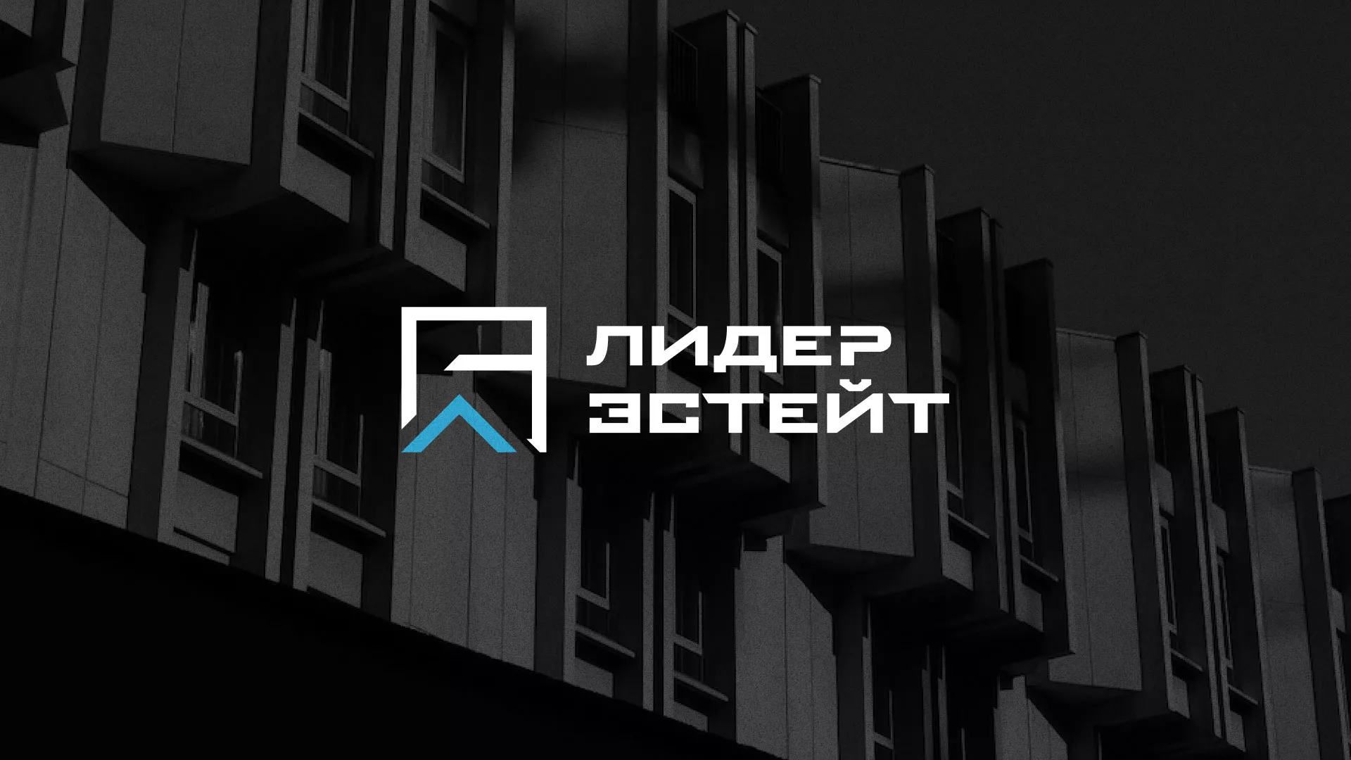 Разработка логотипа агентства недвижимости «Лидер Эстейт» в Анапе